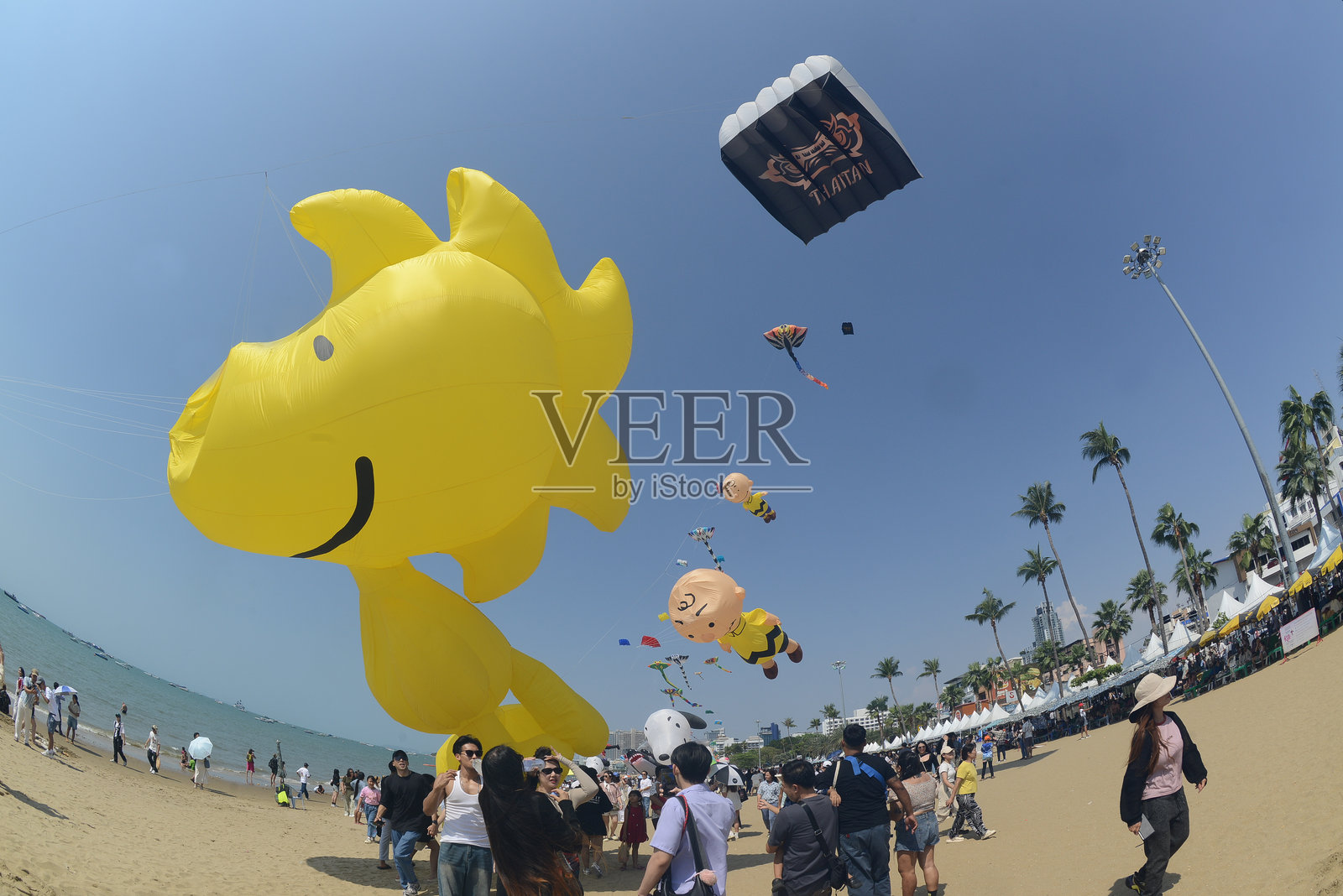 2025年在芭堤雅海滩举行的芭堤雅国际风筝节，泰国和外国游客在海滩上享受快乐。此次活动旨在促进旅游业。照片摄影图片