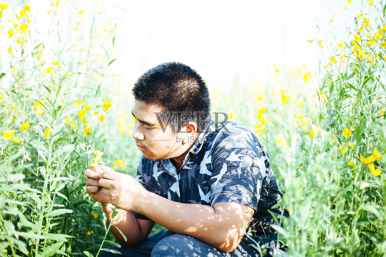 花田中的男人照片摄影图片