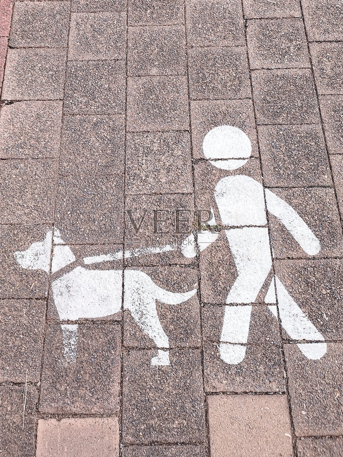 一个非常直观的狗主人标识。照片摄影图片