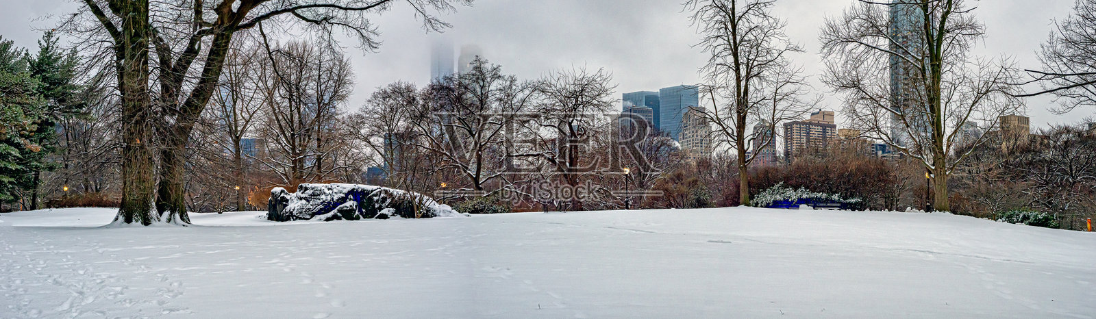 冬季的中央公园，雪暴过后照片摄影图片