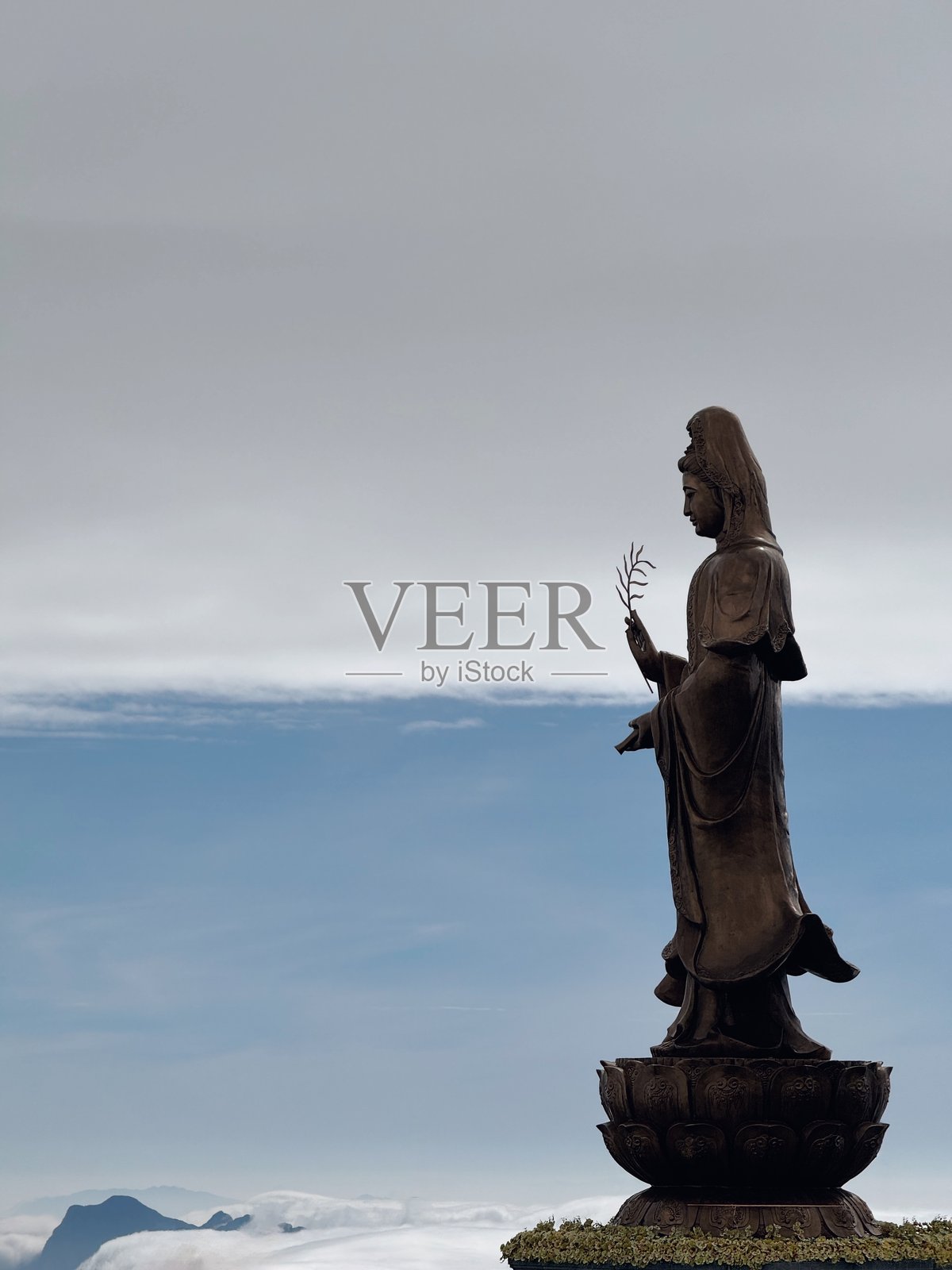 雾气弥漫的森林场景，带有乡村风格的鸟屋和鸽子照片摄影图片