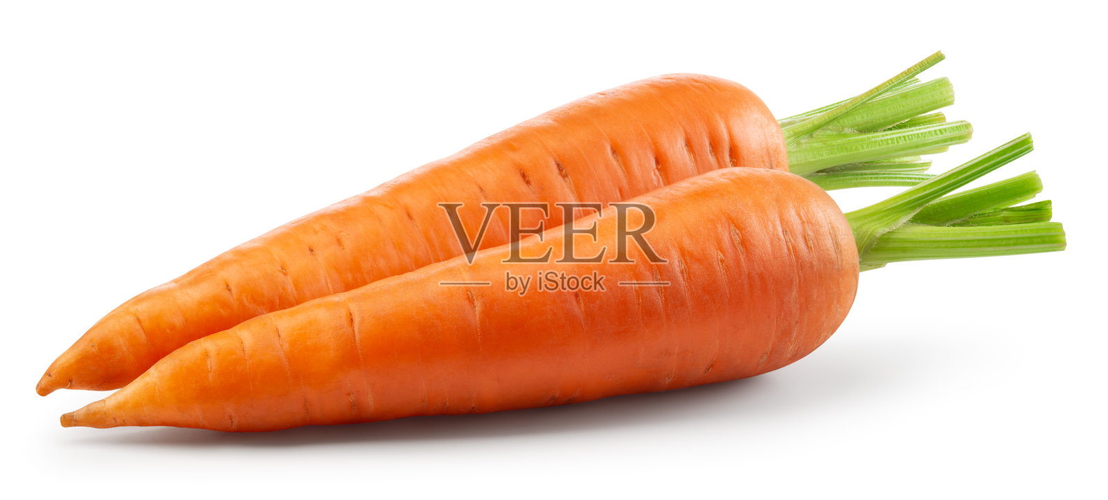 孤立的胡萝卜。白色背景上的胡萝卜。两根带绿叶的胡萝卜。带有抠图路径。全景深。照片摄影图片