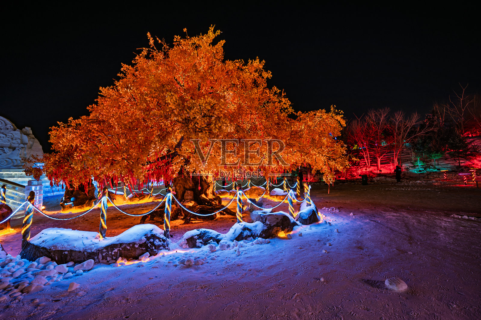 彩色灯光与树木——第六届中国长春冰雪新世界照片摄影图片