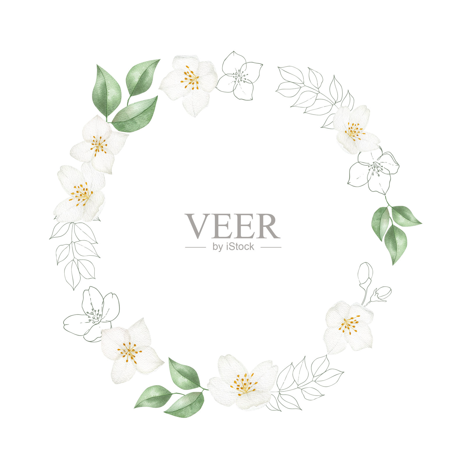 浪漫的水彩花环，带有茉莉花插画图片素材
