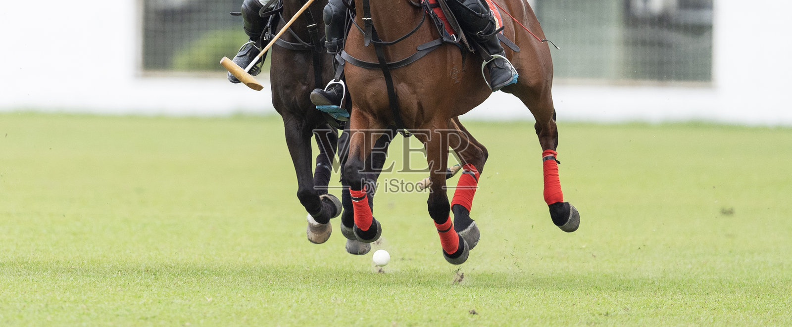马球 - 世界上最古老的团队运动之一。照片摄影图片