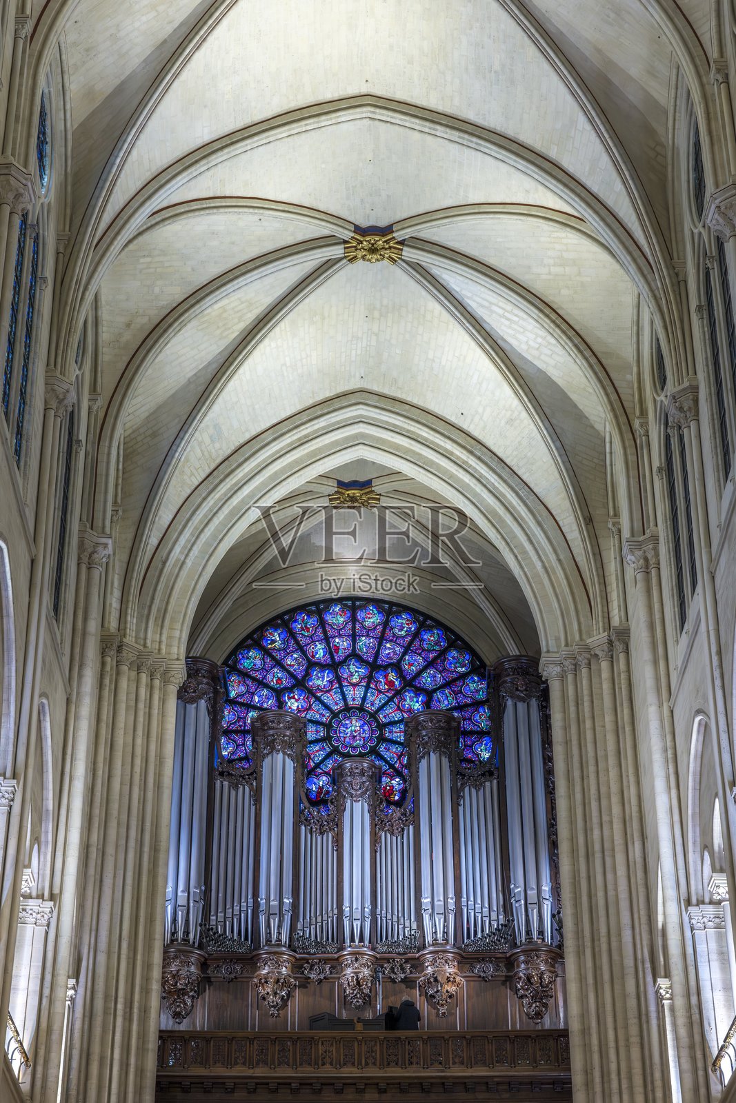2019年火灾后重建的巴黎圣母院内部。玫瑰窗和管风琴的视角。照片摄影图片