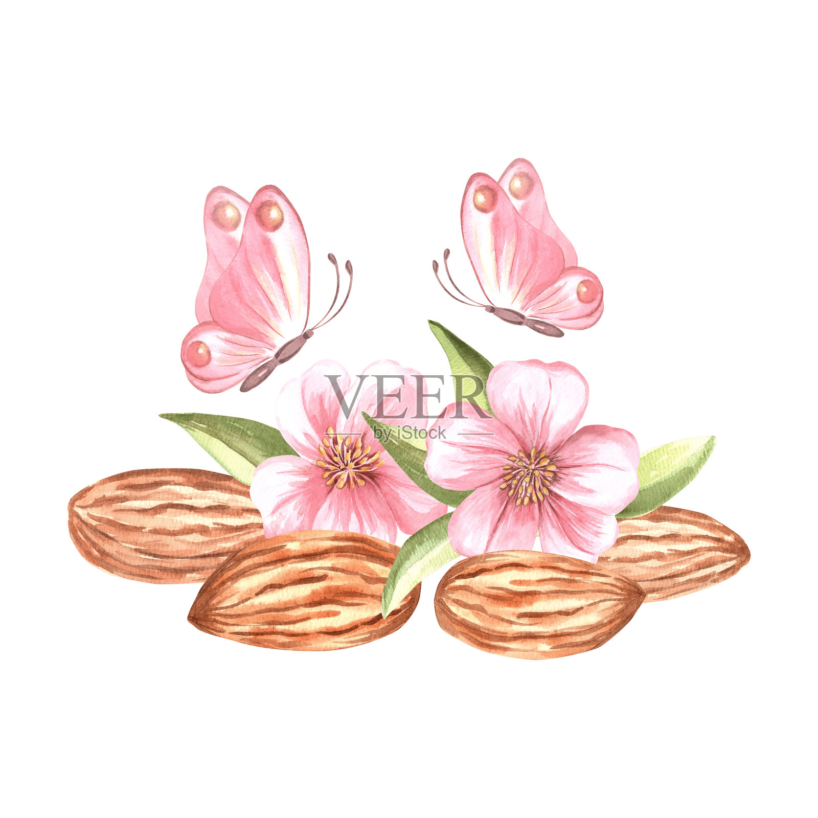 带有粉色花朵和翩翩起舞蝴蝶的杏仁仁。手绘水彩插图。天然有机食品，健康饮食。烹饪或烘焙的食材。食品设计的剪贴画。插画图片素材