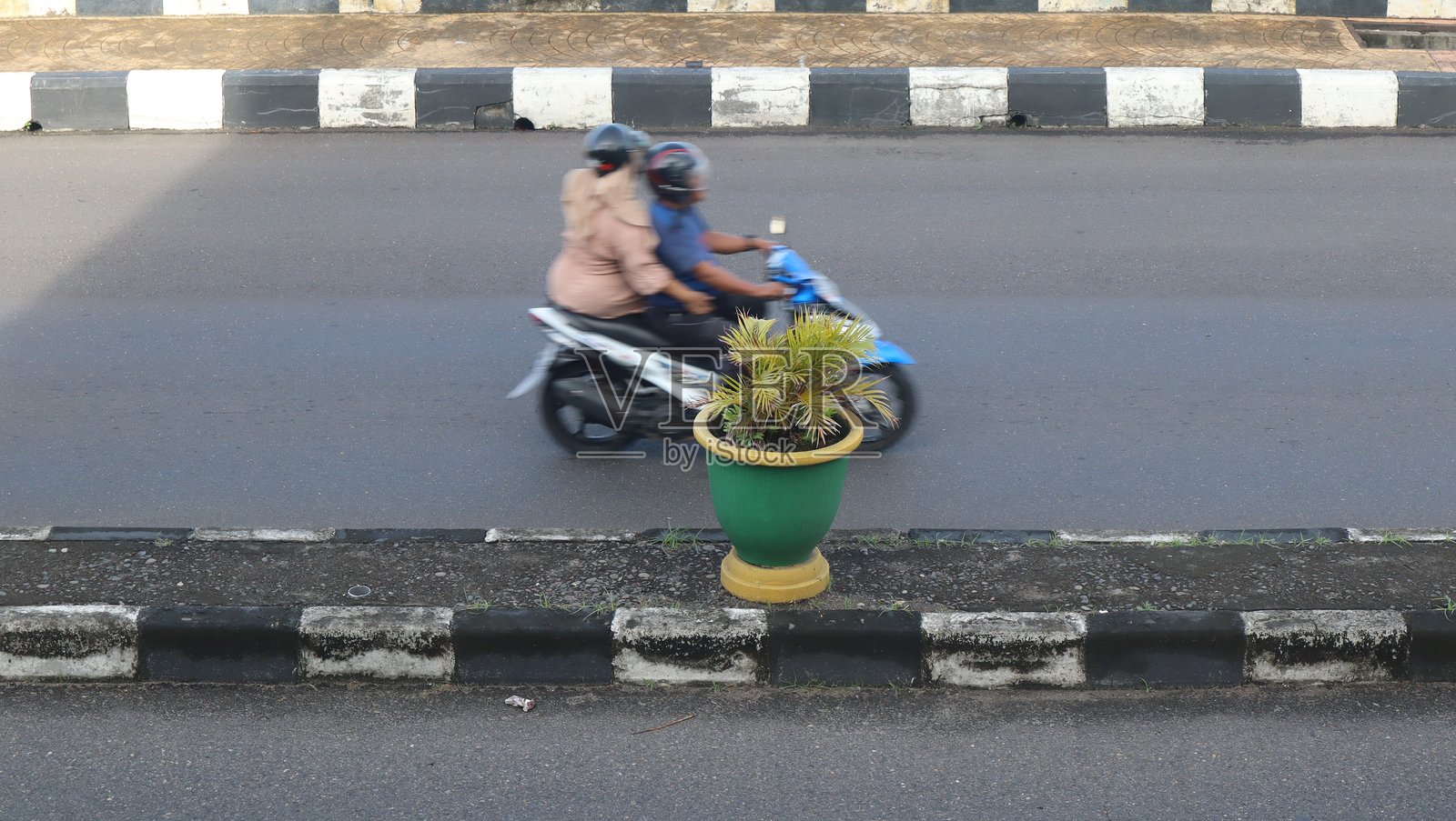 盆栽花卉照片摄影图片