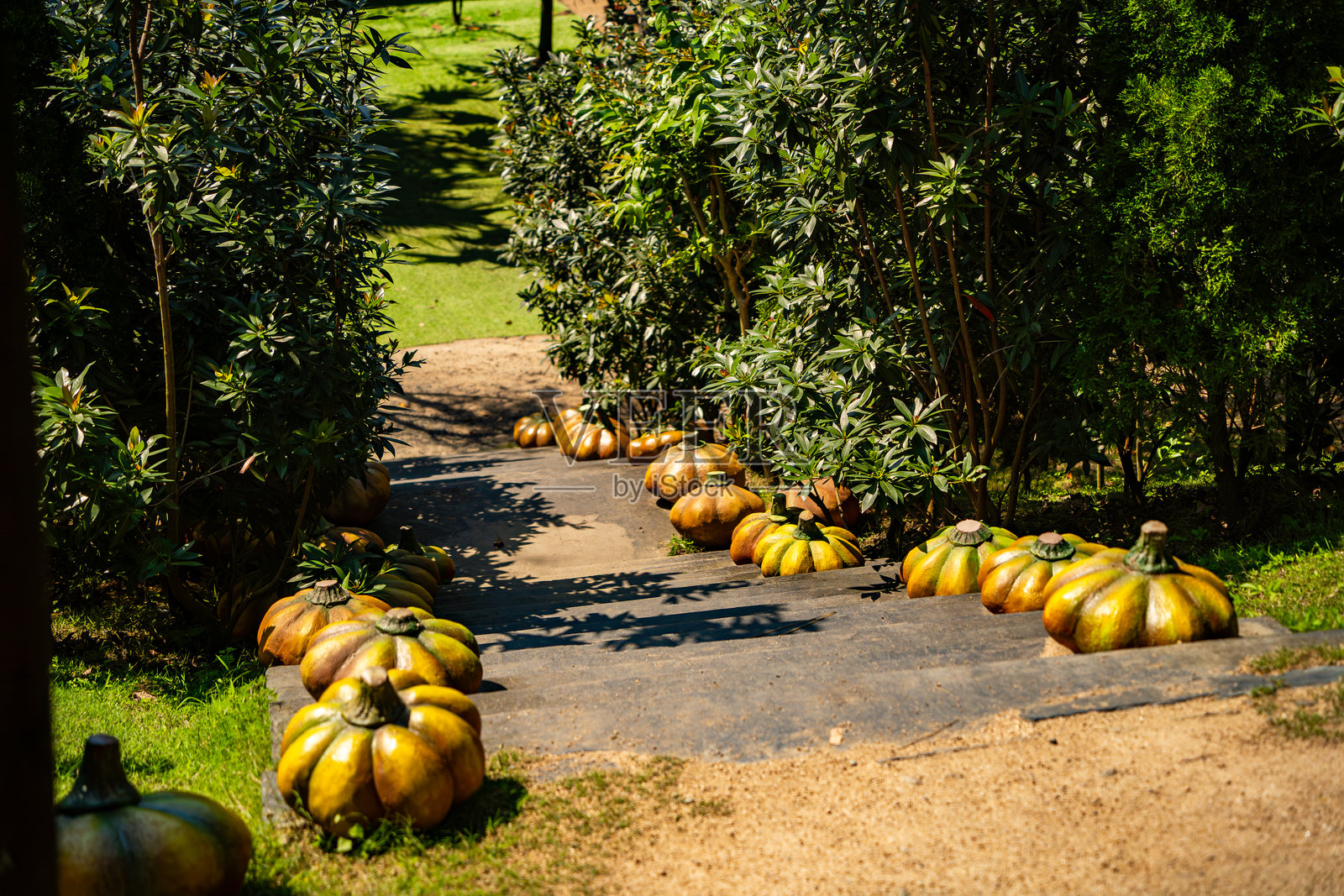 人造南瓜。照片摄影图片
