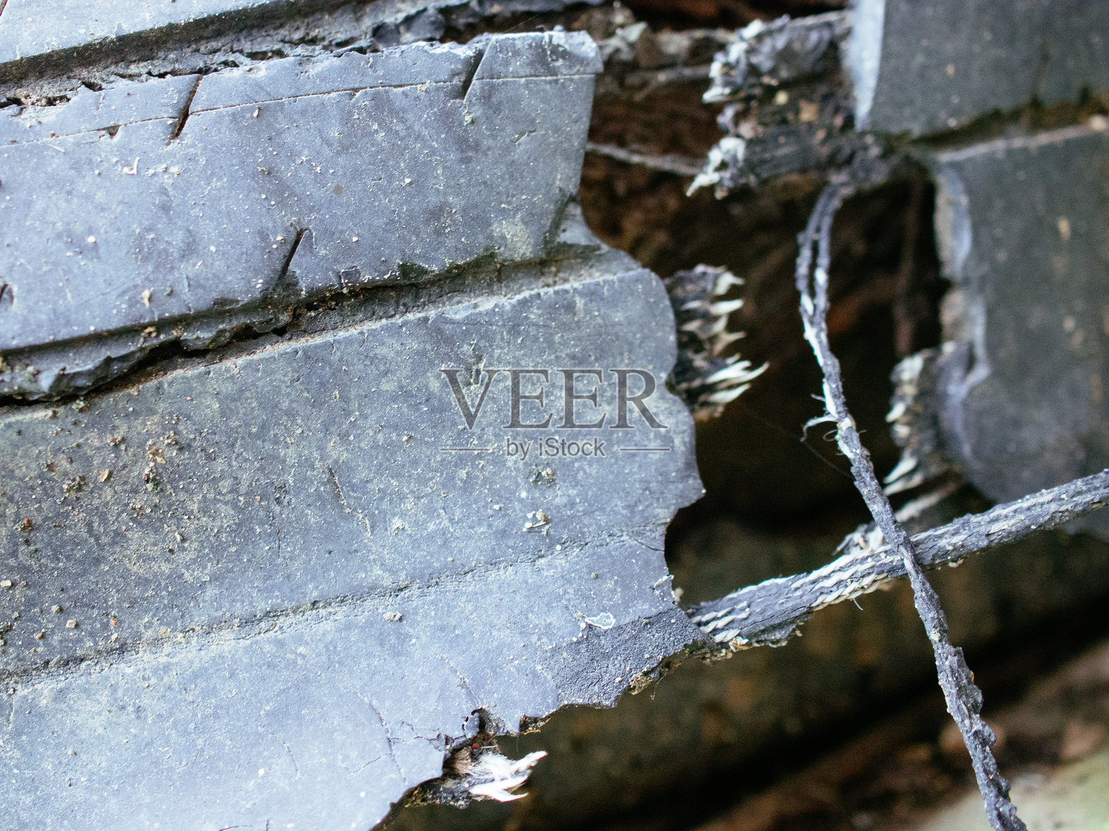 轮胎橡胶照片摄影图片