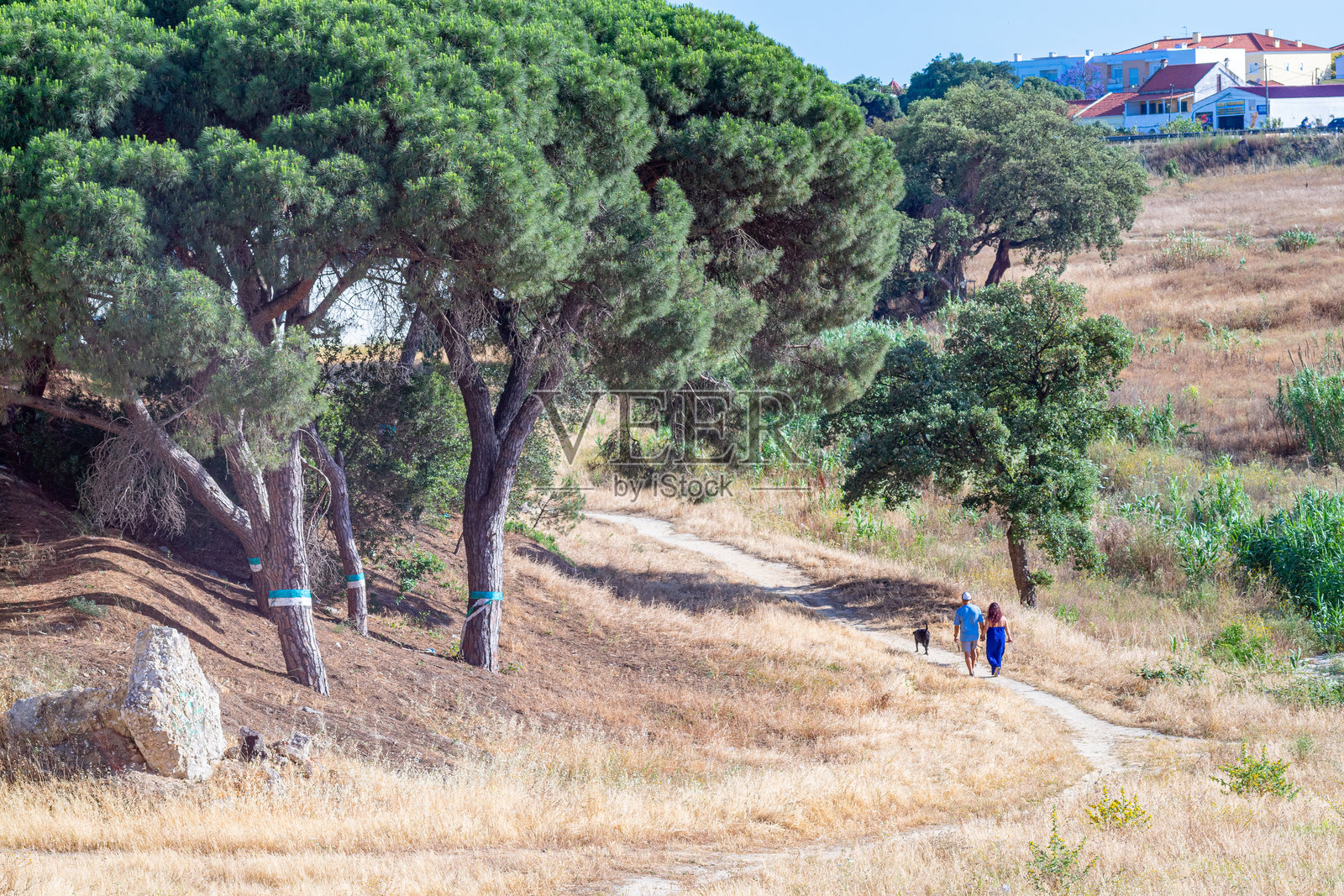 Fidalguinhos城市化区域内的高度城市化地点的植被区域。照片摄影图片