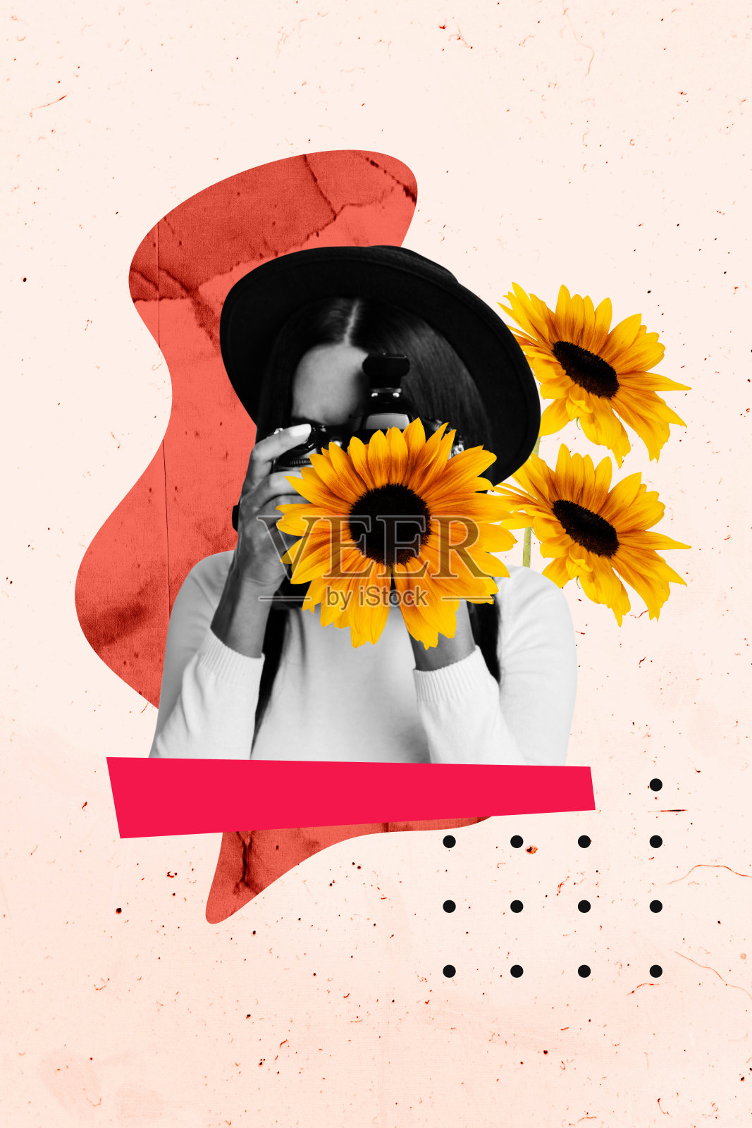 垂直艺术趋势拼贴，匿名女孩摄影师手持现代相机拍摄春季旅游的向日葵花束盛开。照片摄影图片