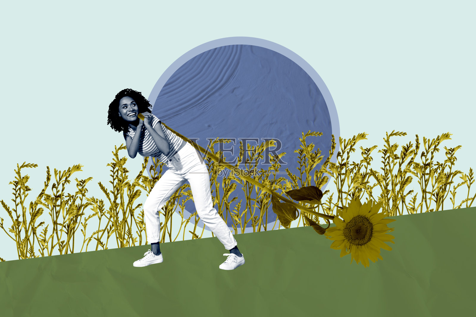 3D素描海报趋势拼贴，快乐的美国女孩在春季公园的田野中走，手里拿着向日葵花朵。照片摄影图片