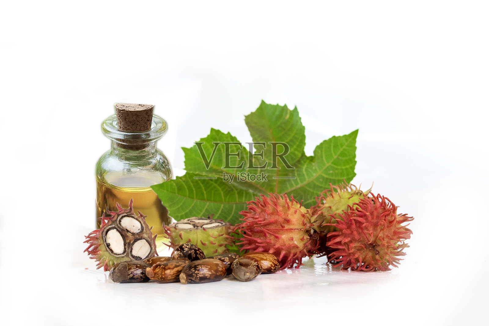 有机蓖麻油与蓖麻果、种子和叶子在白色背景上分离展示照片摄影图片