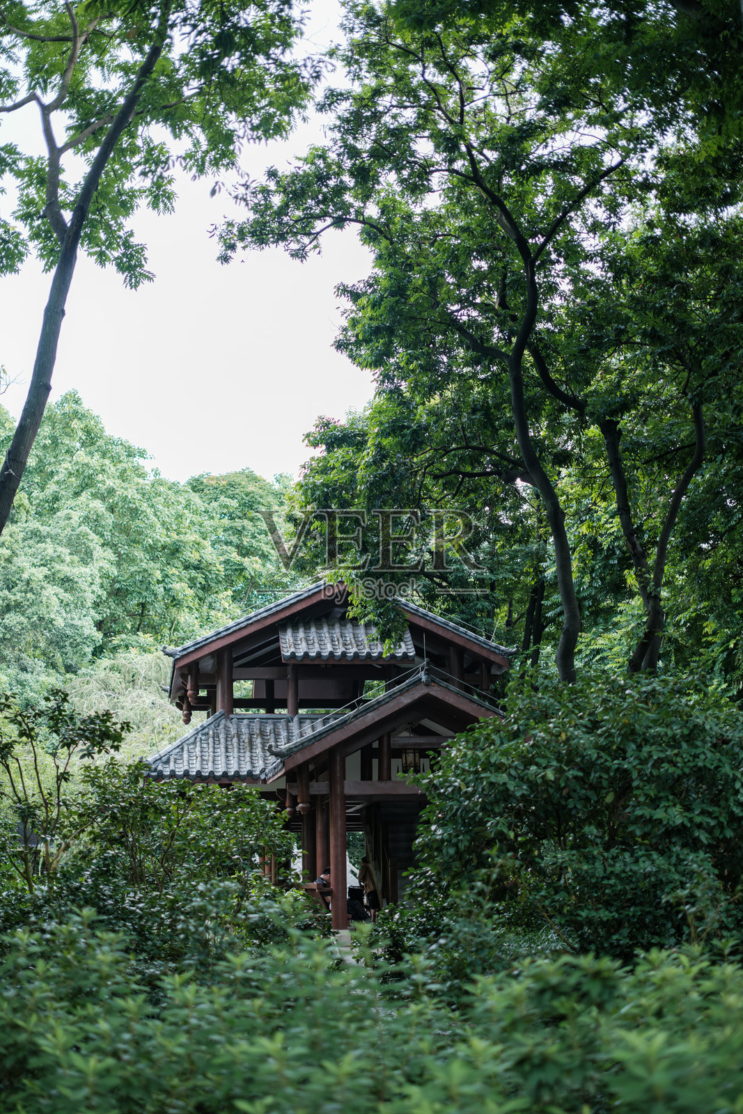 公园里的中国风建筑照片摄影图片