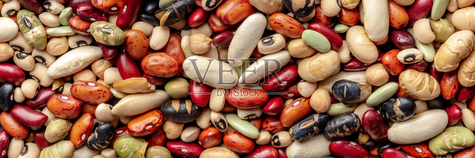 豆类全景。豆类特写。多种不同的豆子和谷物照片摄影图片