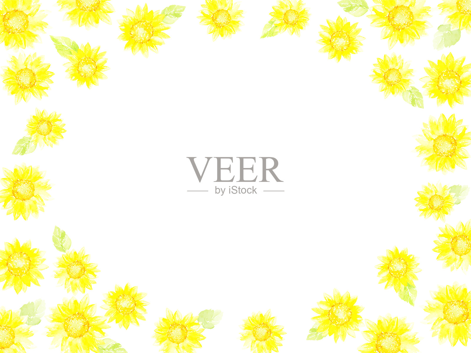 水彩画的淡色向日葵框架插画图片素材