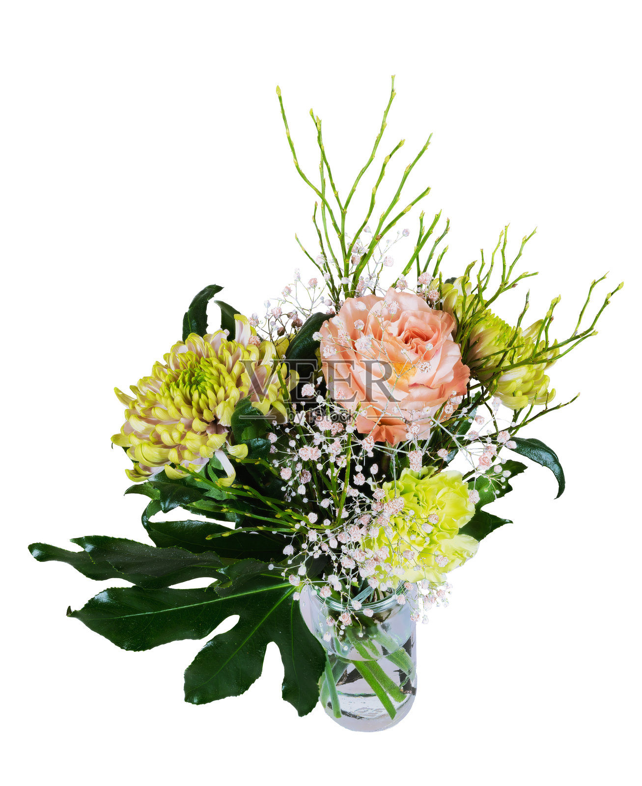 玻璃花瓶中的孤立花卉排列照片摄影图片