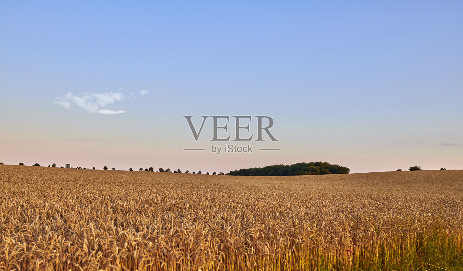 收获的时刻照片摄影图片