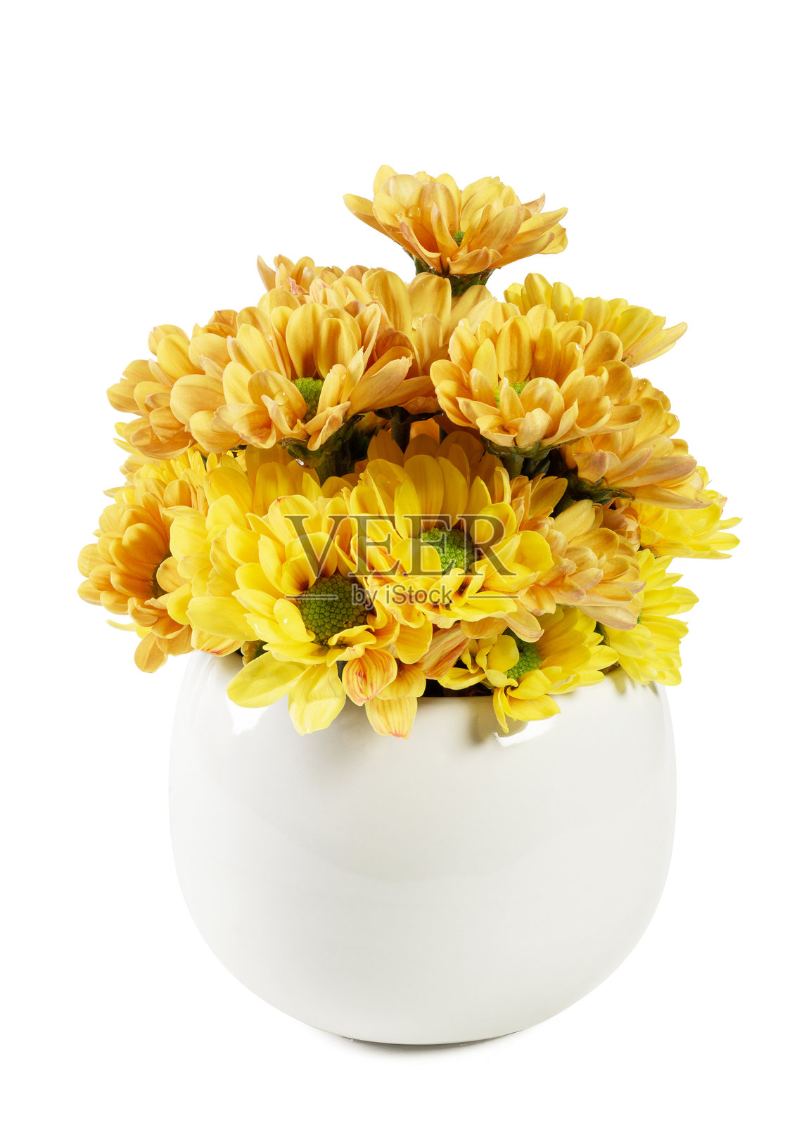 白色花瓶中的黄色菊花，居中摆放。照片摄影图片
