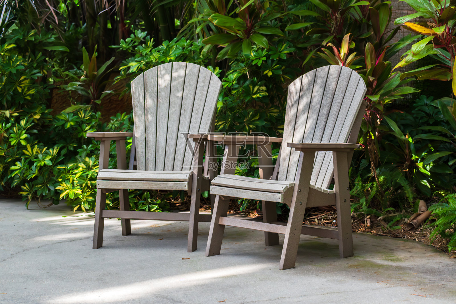 两把木制花园椅子放在混凝土露台上，背景是一面郁郁葱葱的热带植物墙。照片摄影图片