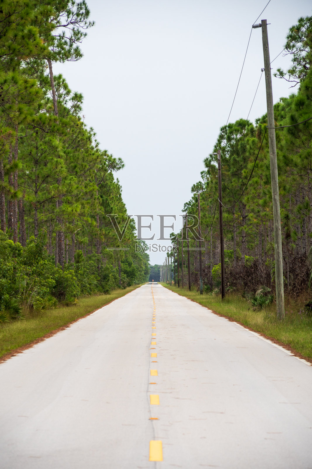 佛罗里达州埃弗格雷德斯国家公园， 美国照片摄影图片