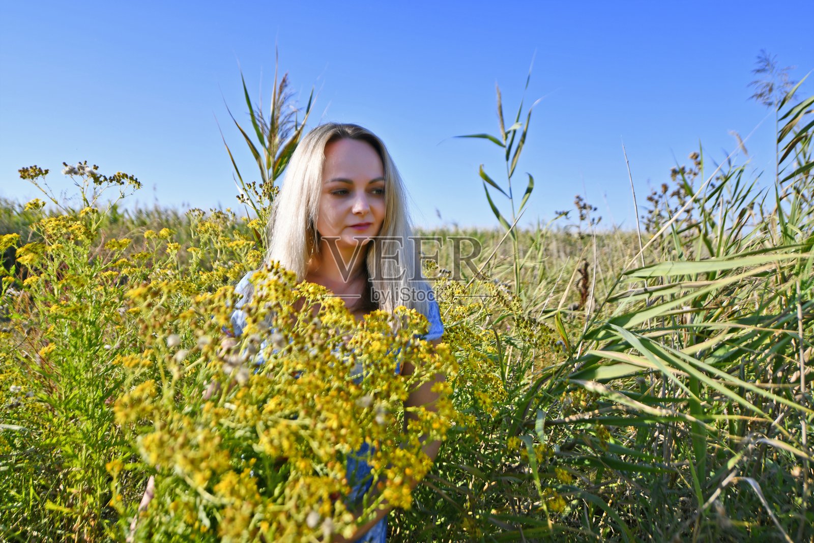 美丽性感的女人照片摄影图片