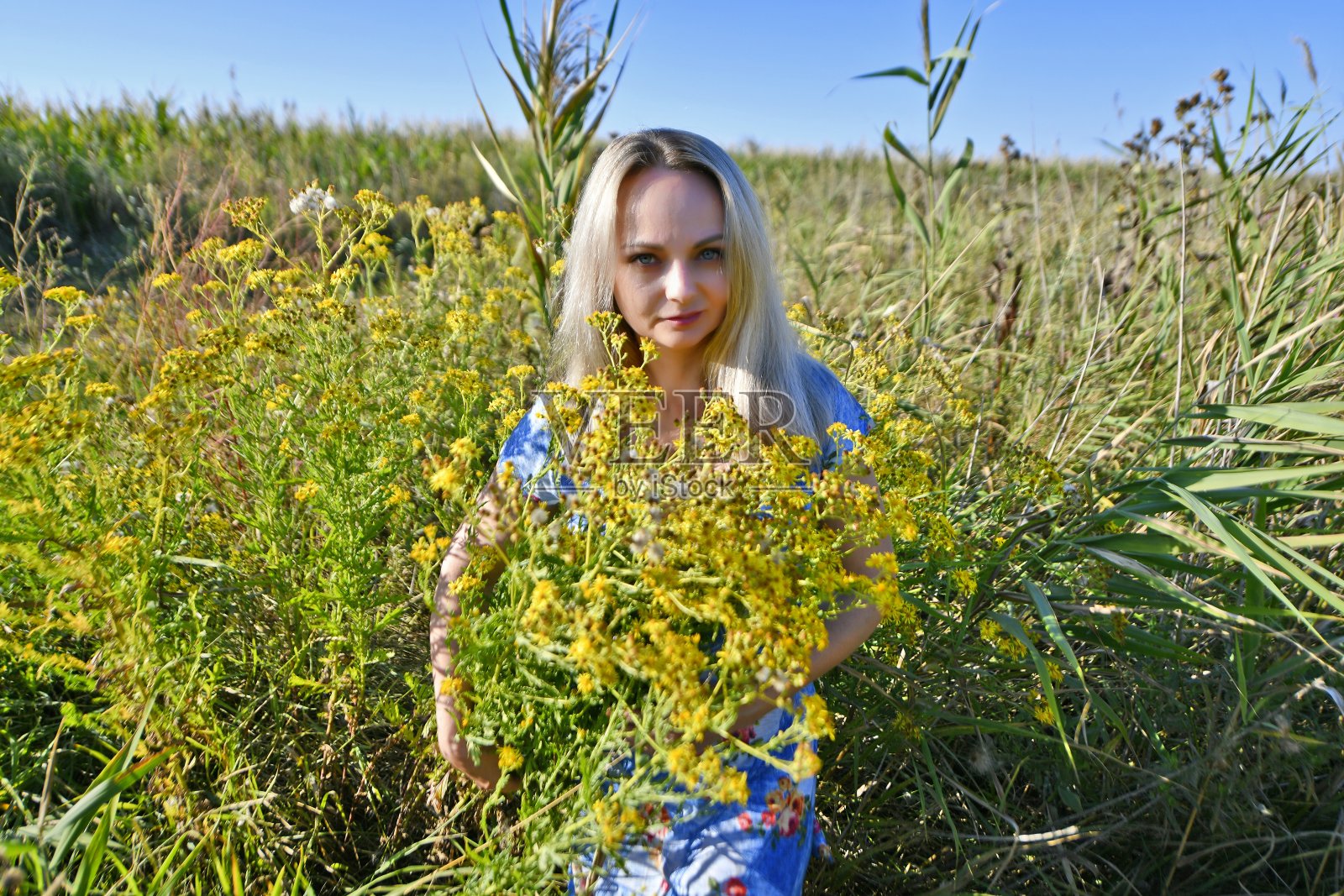 美丽性感的女人照片摄影图片