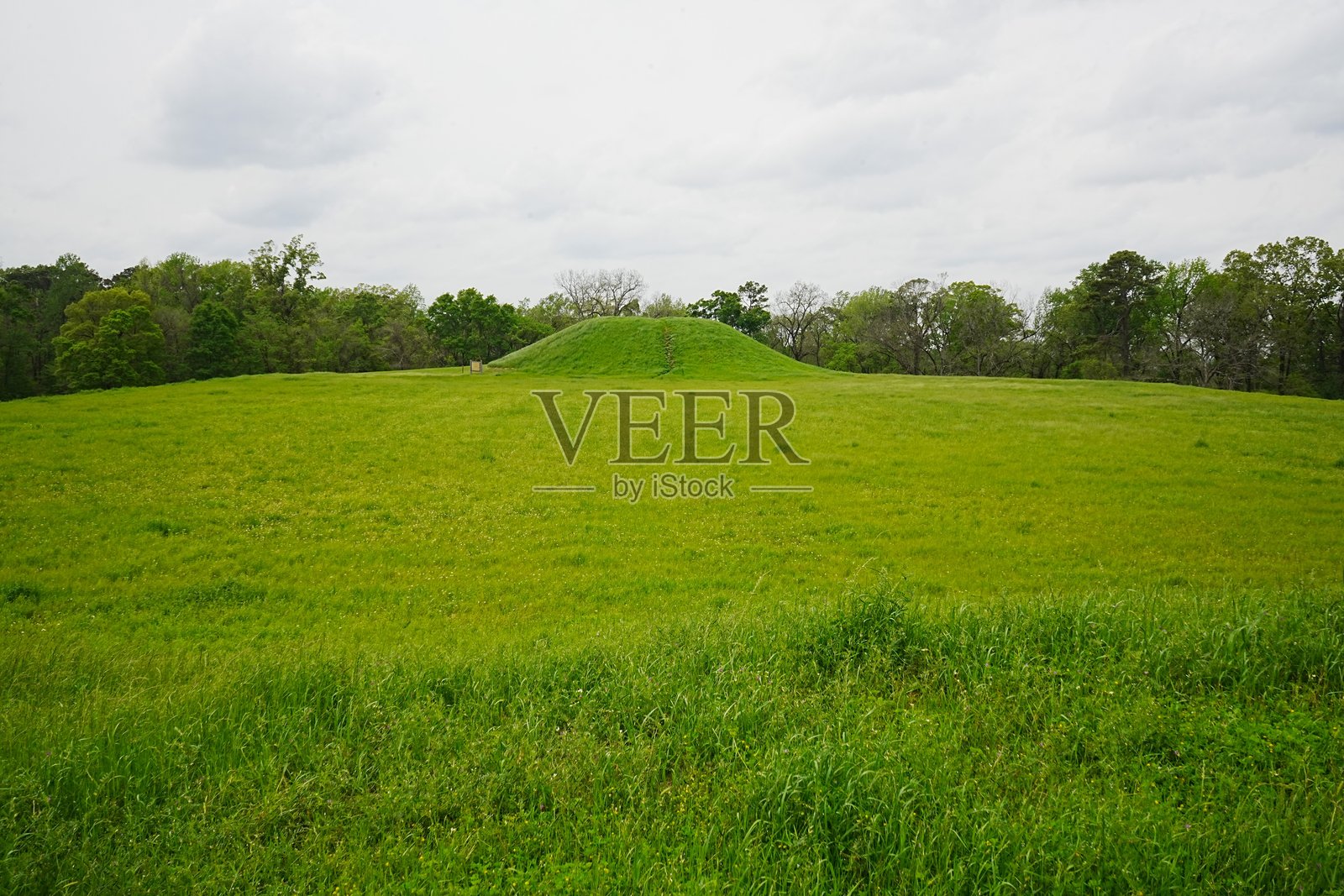 密西西比州纳奇兹小径国家公园的翡翠土丘印第安土丘照片摄影图片