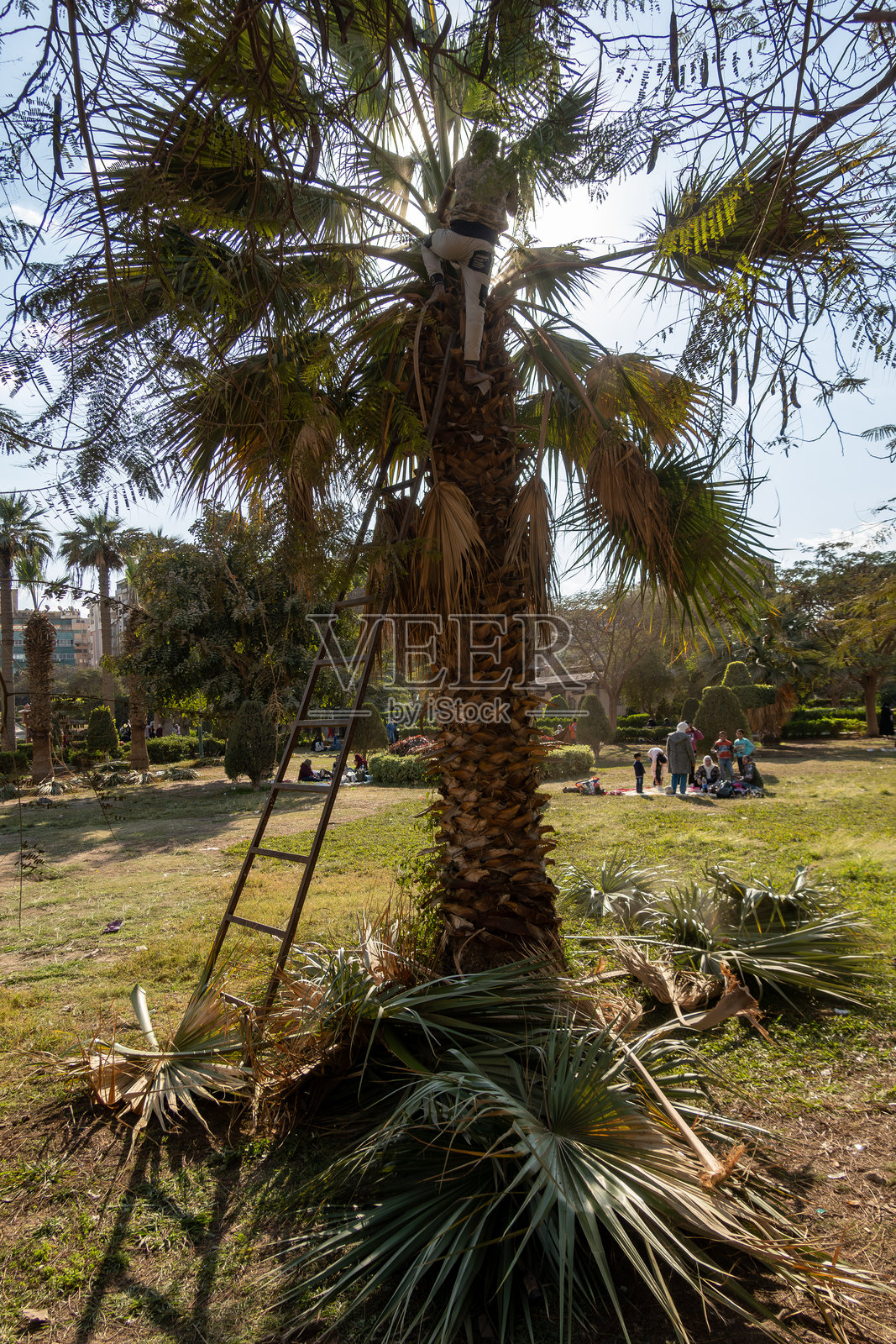 开罗，埃及照片摄影图片