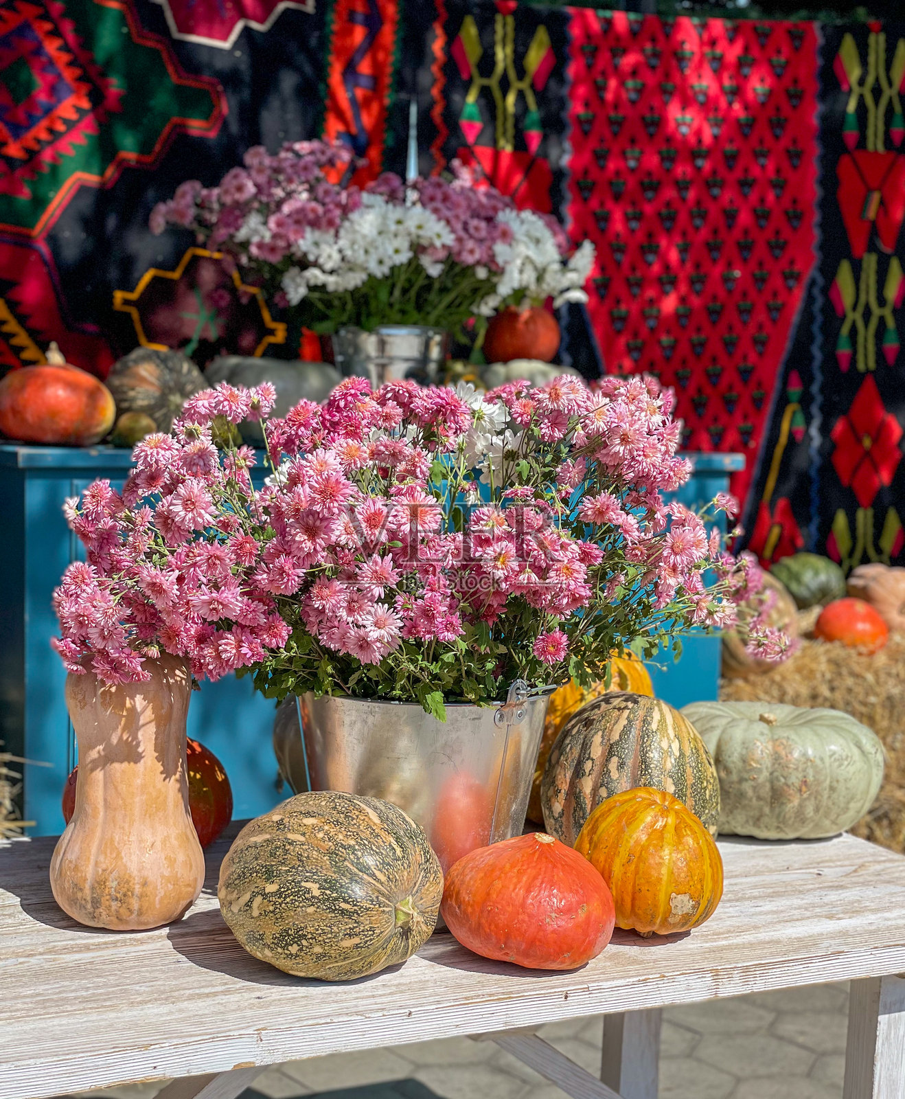 花卉与南瓜的组合照片摄影图片