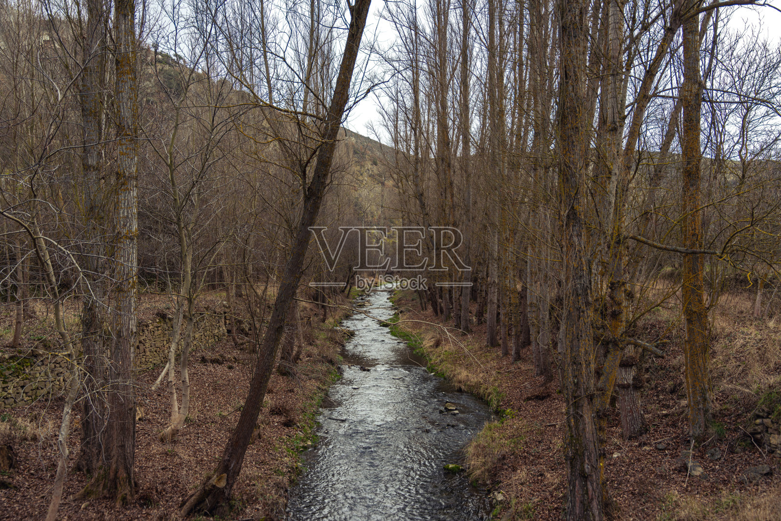 美丽的风景，靠近西班牙索里亚的废弃村庄维亚。索里亚高地。照片摄影图片