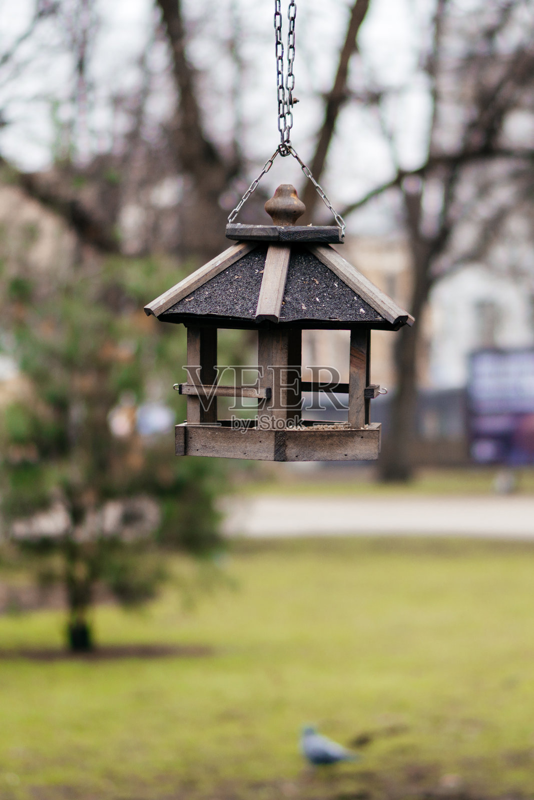 一个乡村风格的木制鸟食器悬挂在城市公园的一根树枝上，为鸟类创造了一个温馨宜人的场景。照片摄影图片