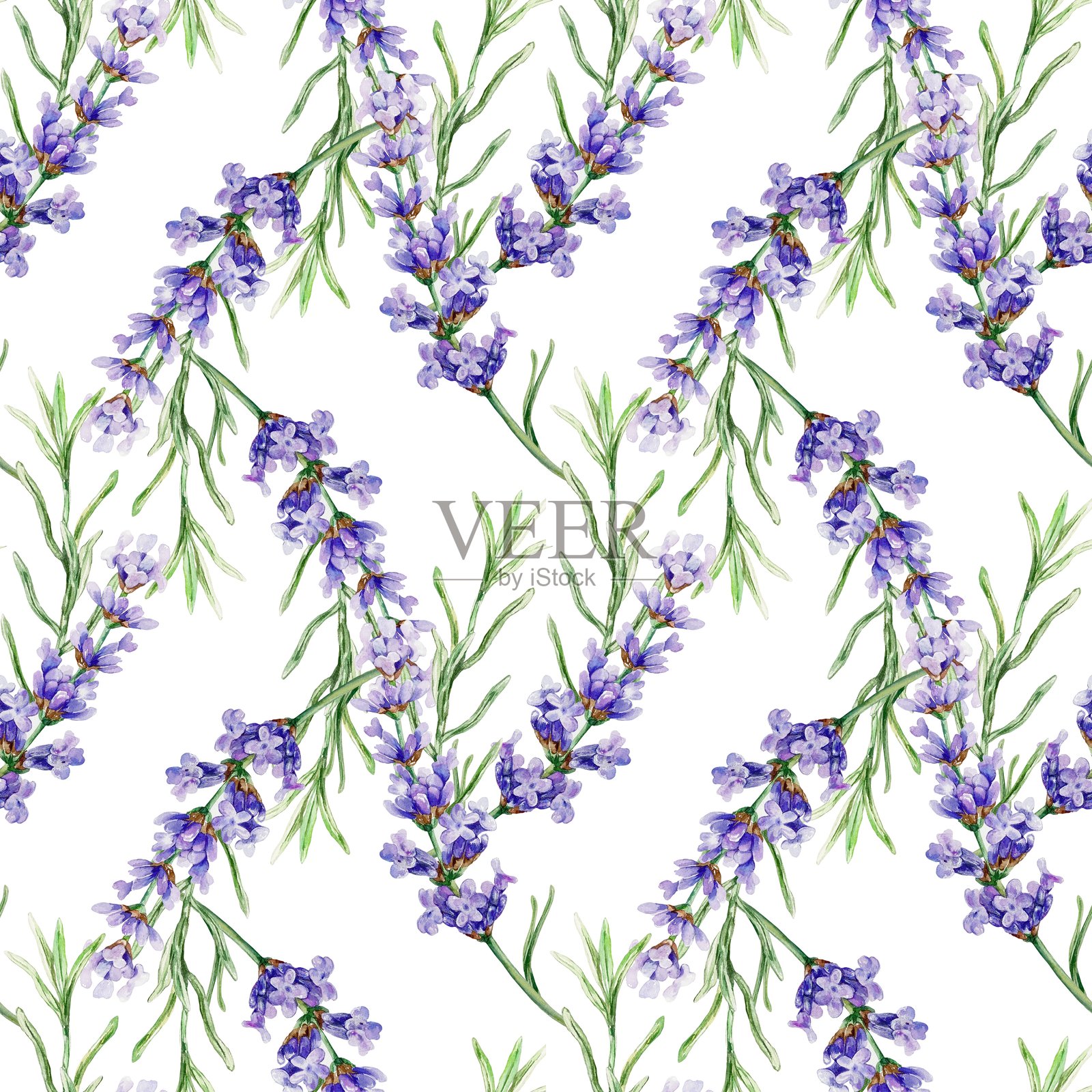 薰衣草枝条无缝图案。手绘水彩插图，紫色花朵独立展示。适用于纺织品、包装纸、布料、封面、餐巾。插画图片素材