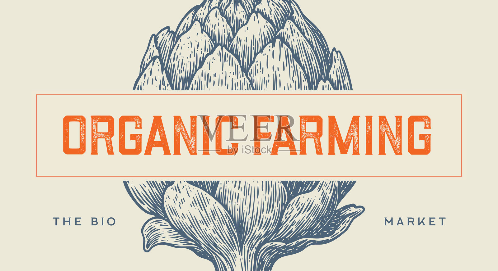 朝鲜蓟，蔬菜。标签，标识，标牌插画图片素材