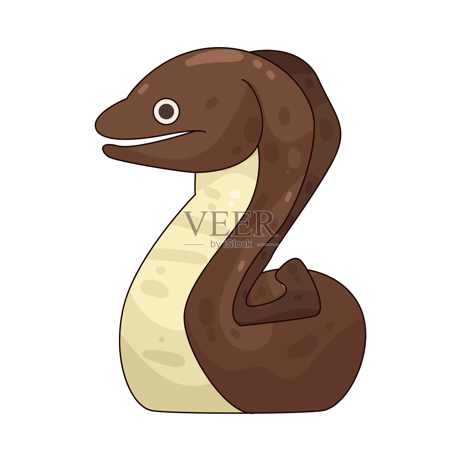 穆雷鳗插画图片素材