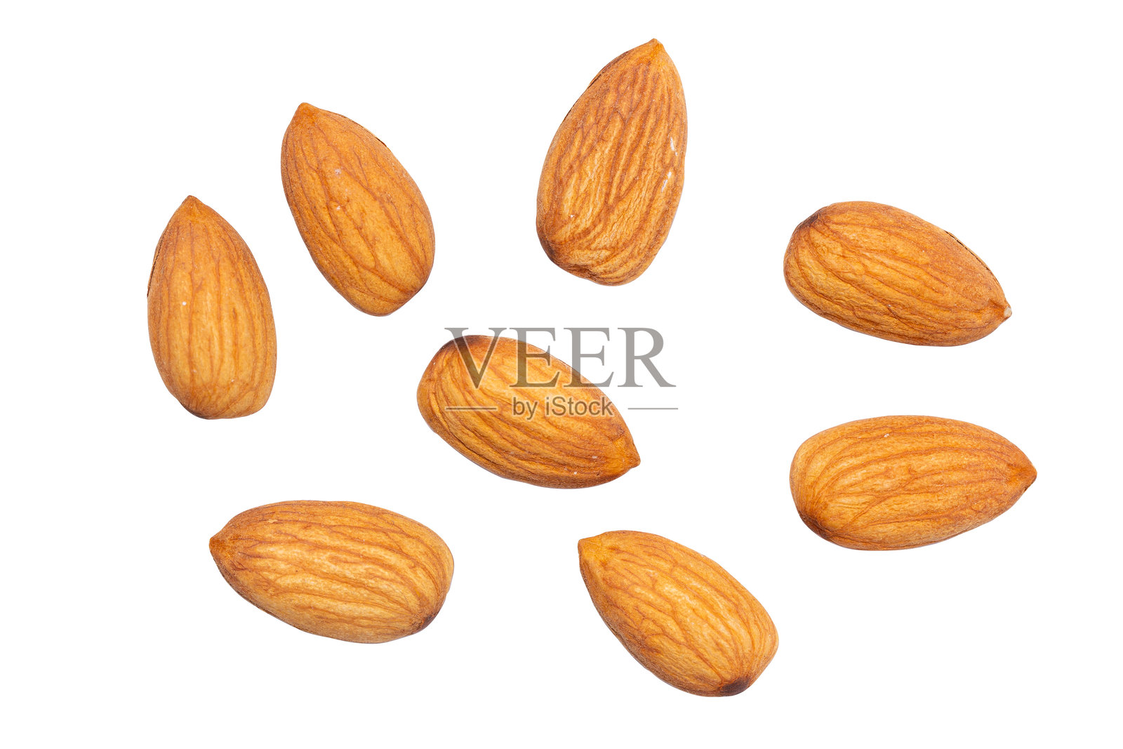 白色背景上的杏仁俯视图照片摄影图片