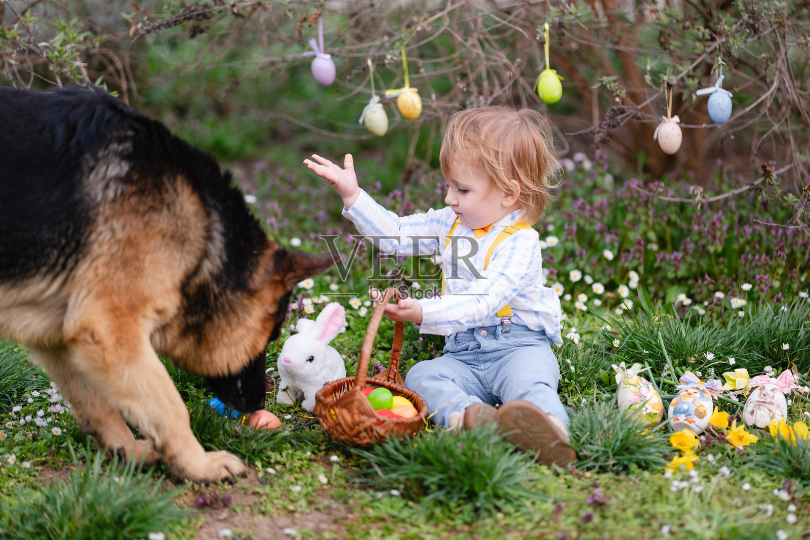 可爱的小男孩和狗狗在花园里玩复活节彩蛋照片摄影图片