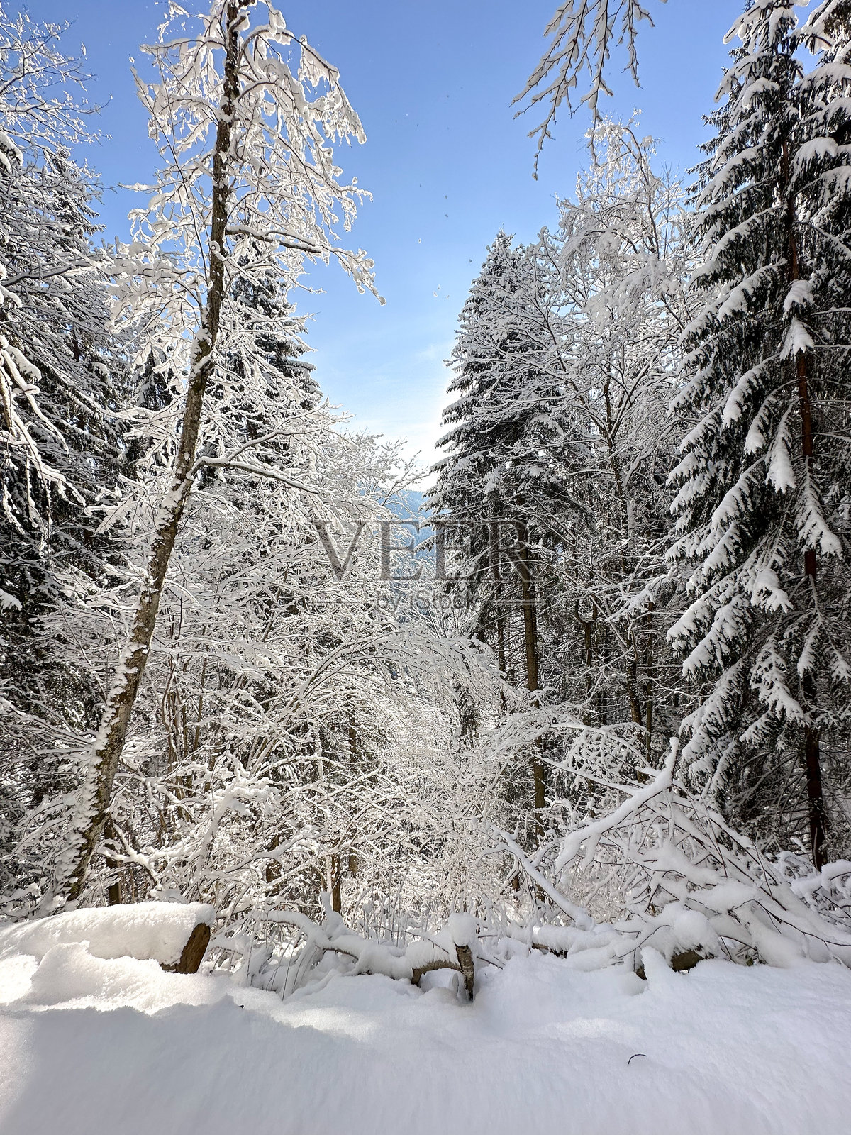 冬季风景照片摄影图片