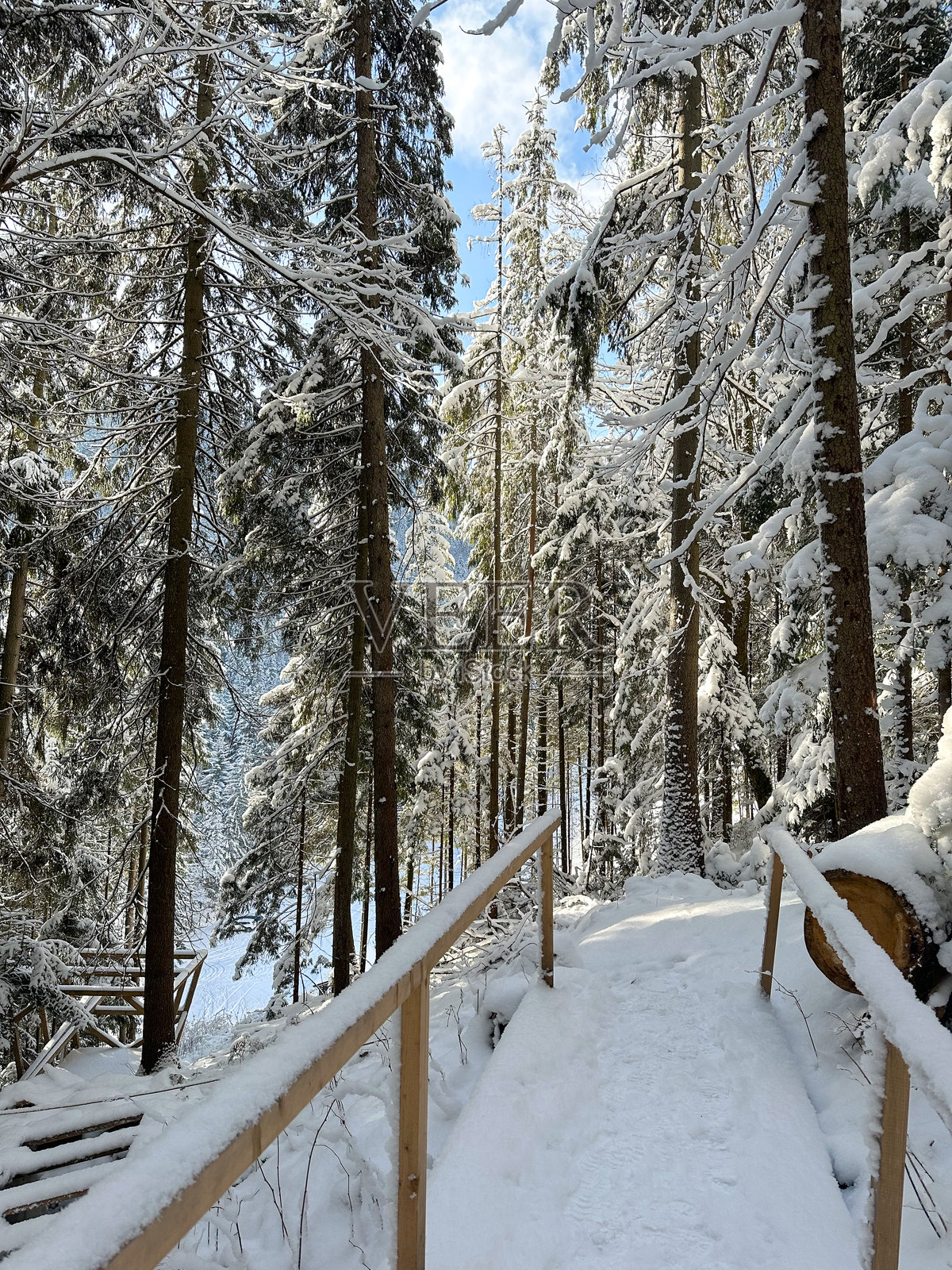 冬季风景照片摄影图片
