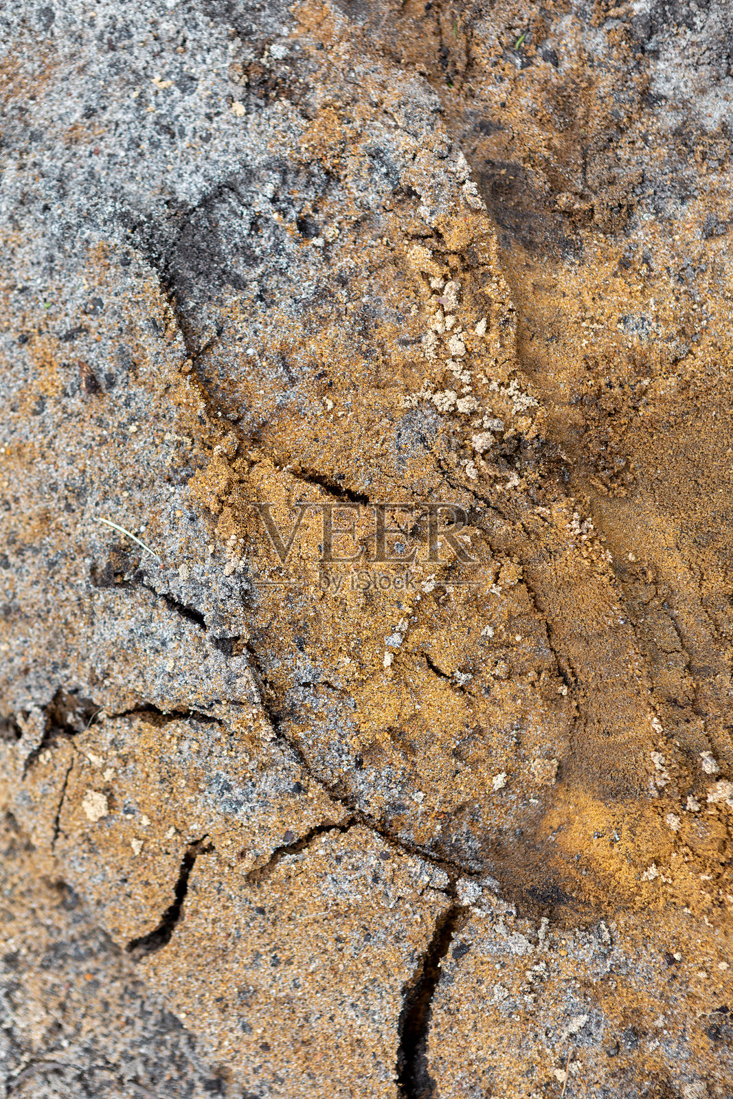 在正午阳光下，自然景区干燥土地上的脚印照片摄影图片