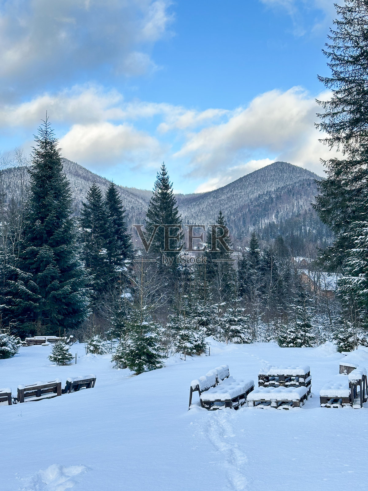 冬季风景照片摄影图片