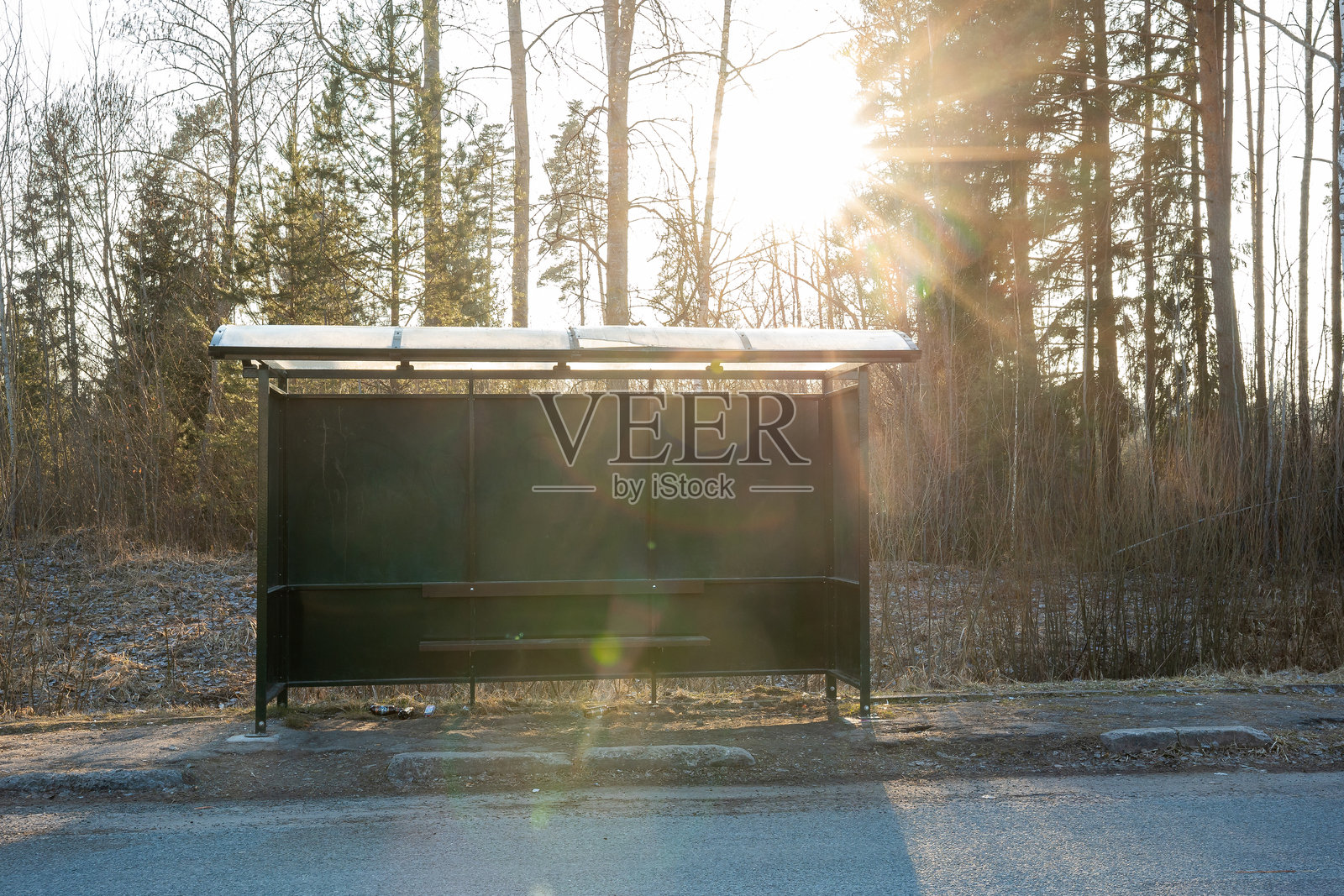 路边的透明屋顶公交站和光秃秃的树木照片摄影图片