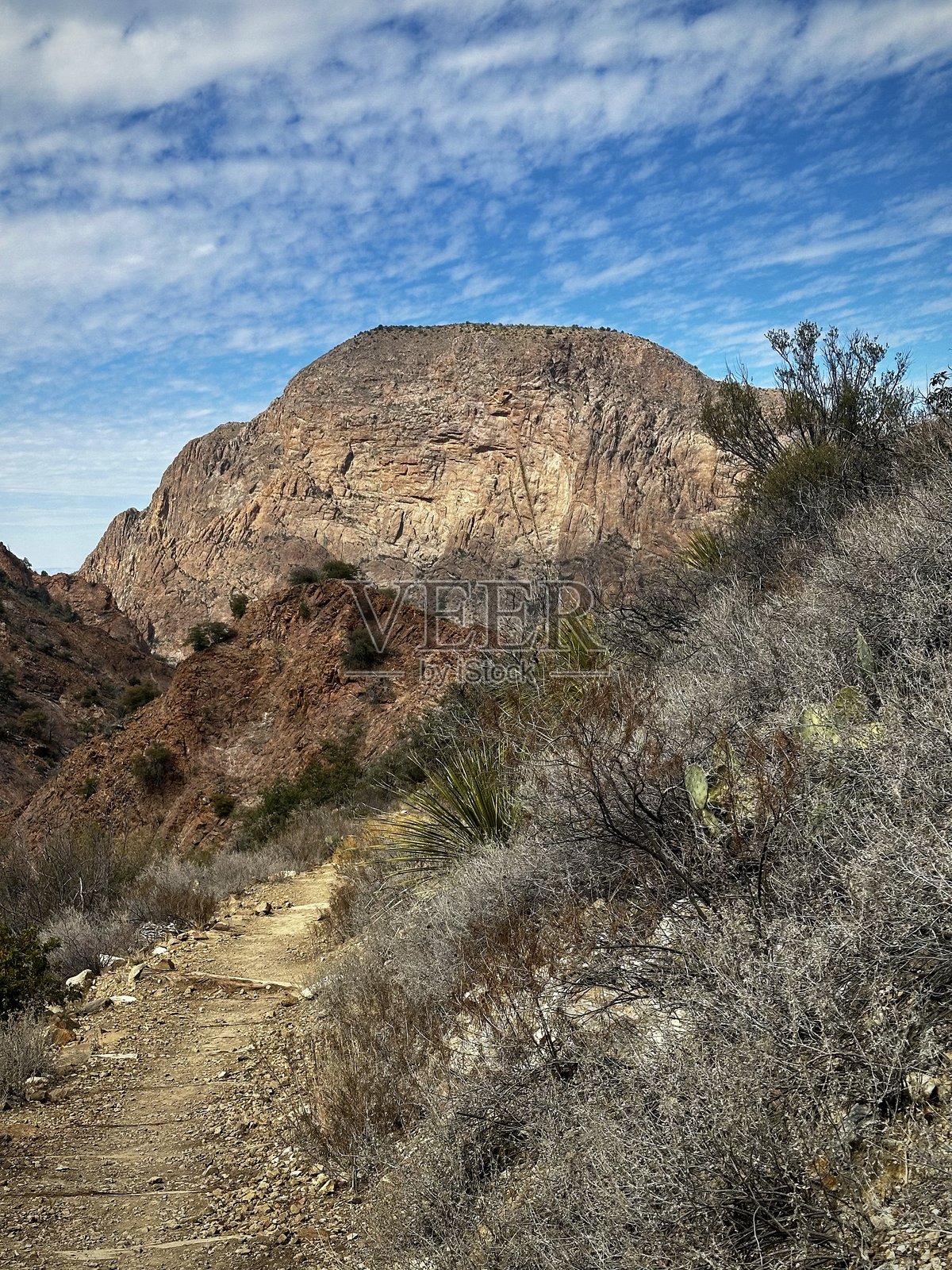 通往岩石山顶的沙漠小径（德克萨斯州大弯国家公园，美国）照片摄影图片