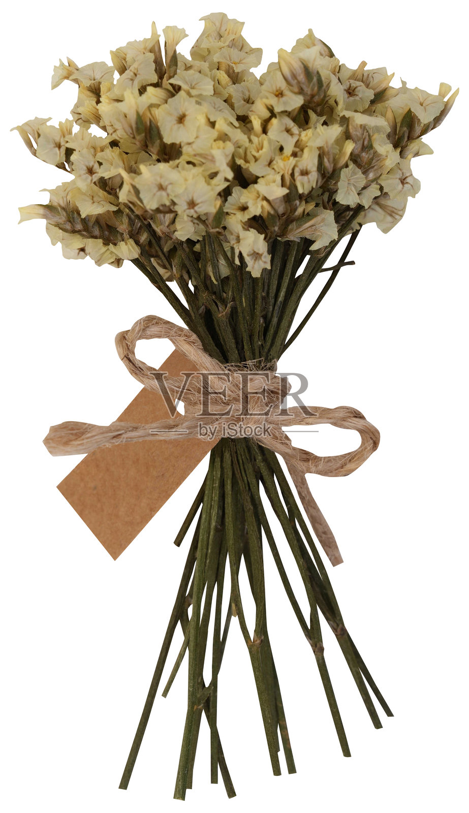 干燥的黄色海石花花束，带有纸质标签照片摄影图片