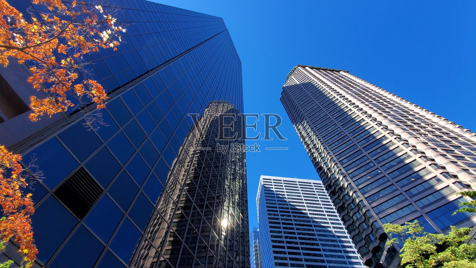 美国西雅图金融和商业区的市中心天际线照片摄影图片