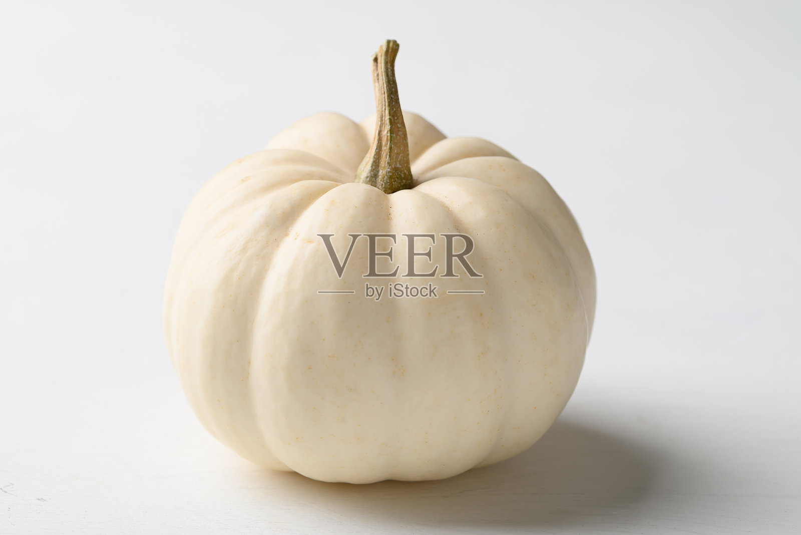 白色小南瓜在白色背景上照片摄影图片