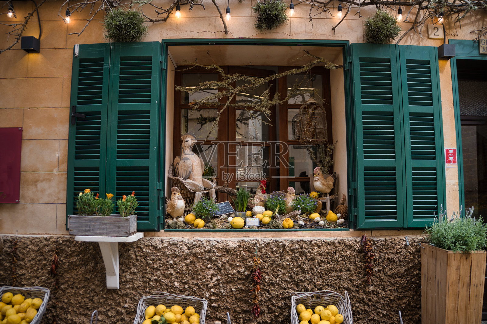 圣安东尼奥马约卡的窗户上有一只鸟和一篮柠檬照片摄影图片