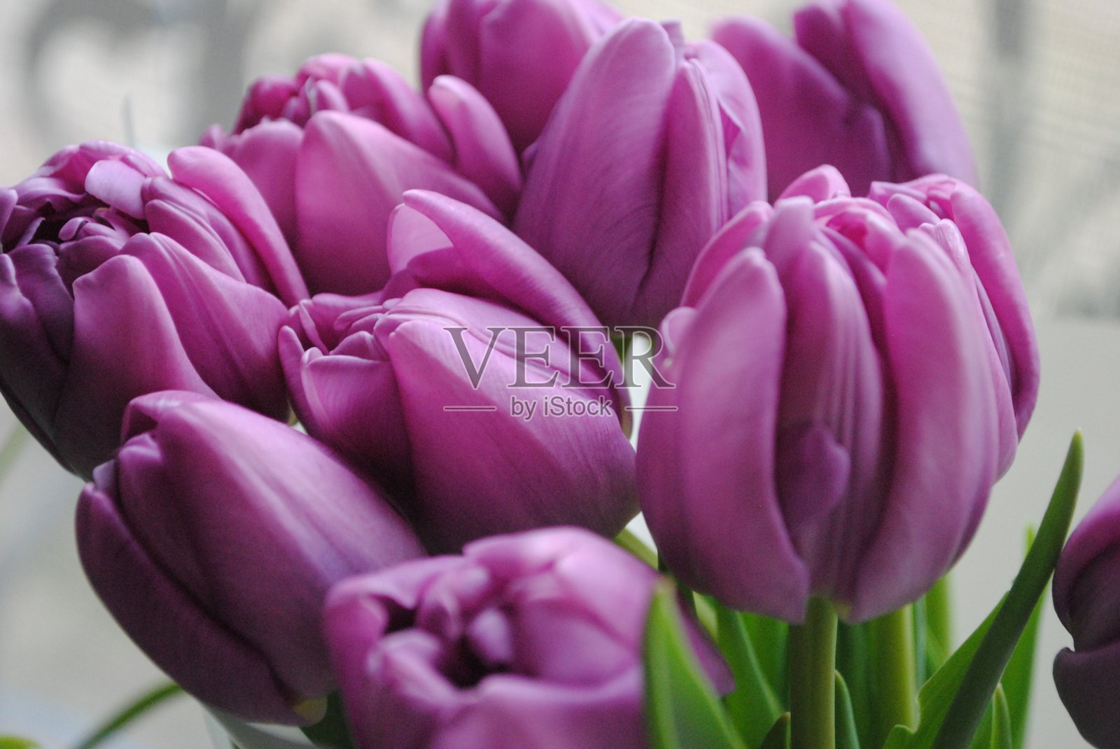 花卉特写照片摄影图片