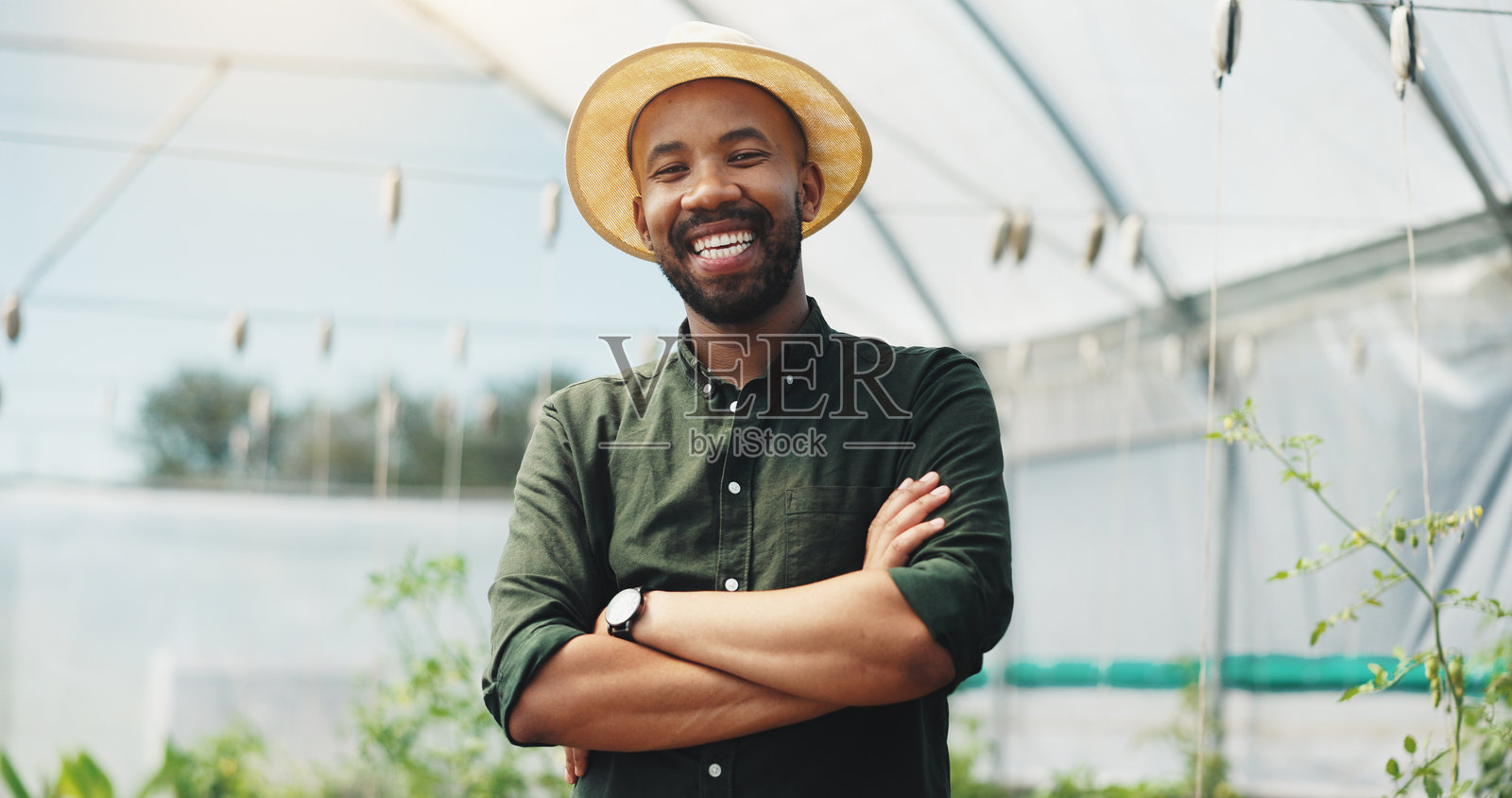 非洲男子微笑着双臂交叉在温室里，夏季的可持续农业与生长。人物，快乐的肖像，涉及食品生产、农业和蔬菜苗圃。照片摄影图片